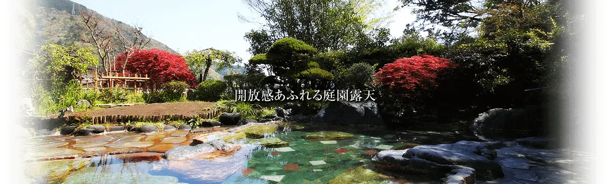 箱根湯本温泉 湯さか荘の混浴露天風呂
